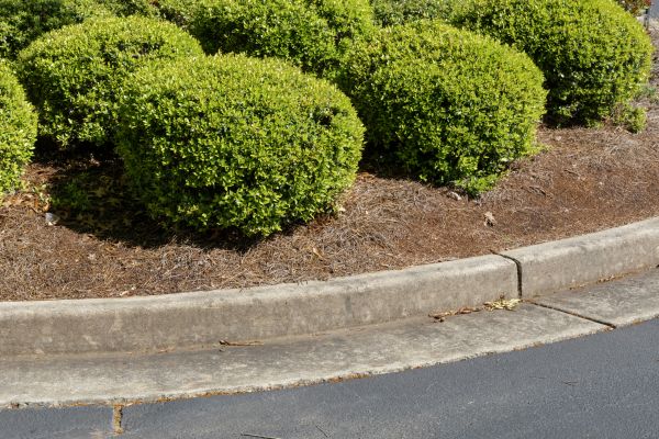Pine Mulch Installation in Glen Burnie