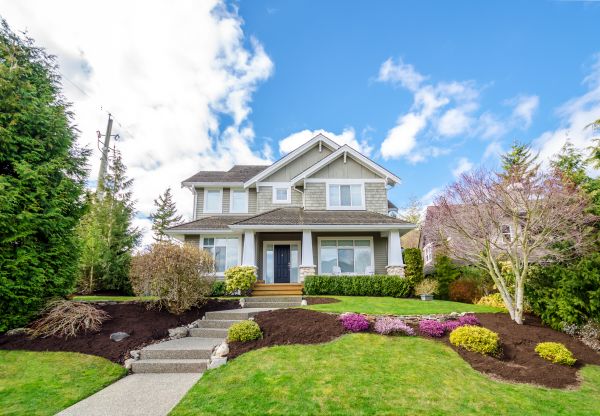 Landscaping Replacement in Glen Burnie
