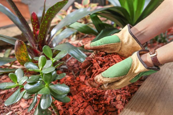 Cedar Mulch Installation in Glen Burnie