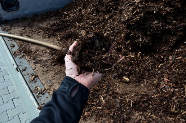 Condo Mulching in Glen Burnie
