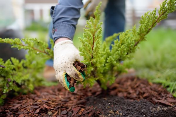 Church Mulching in Glen Burnie