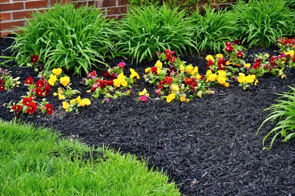 Apartment Mulching in Glen Burnie